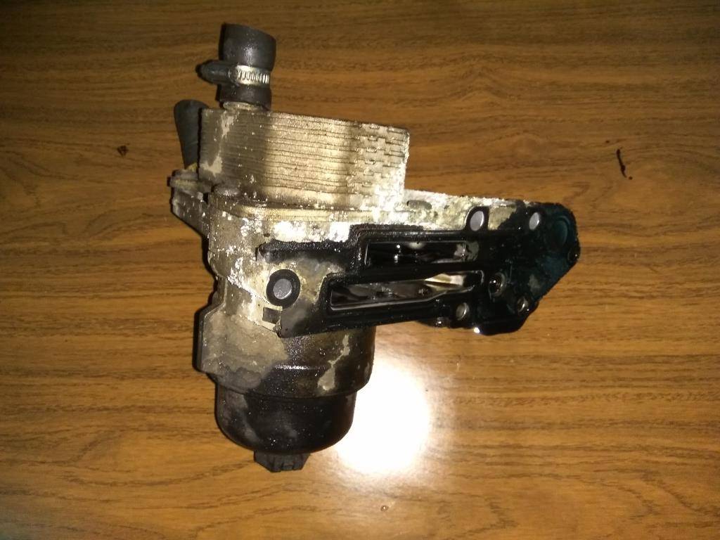 радиатор масляный FORD Transit  1842739, 1550 рублей, Москва