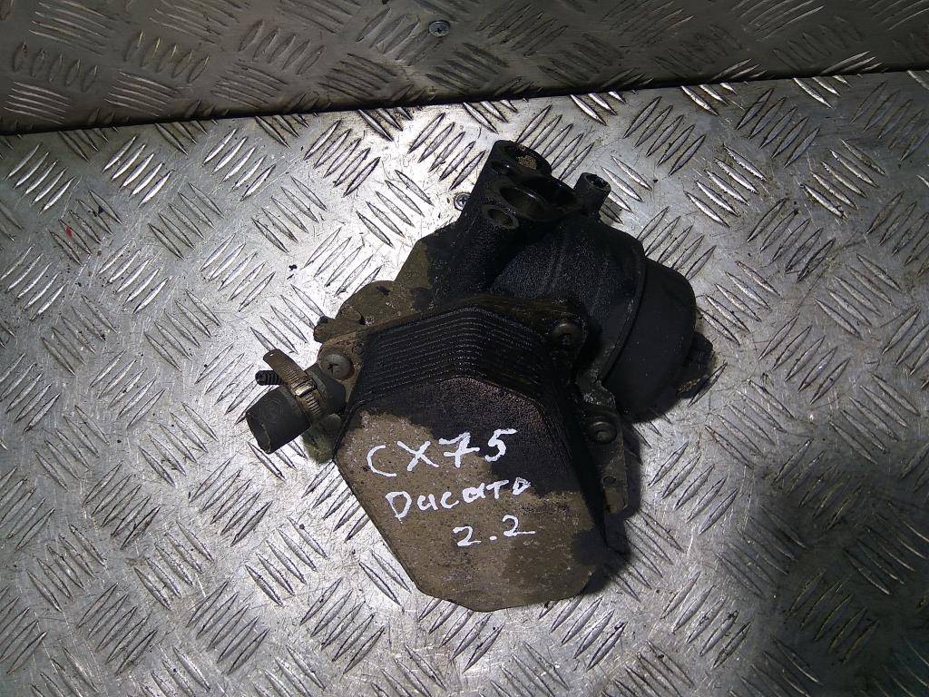 радиатор масляный Fiat Ducato, 1670 рублей, Москва