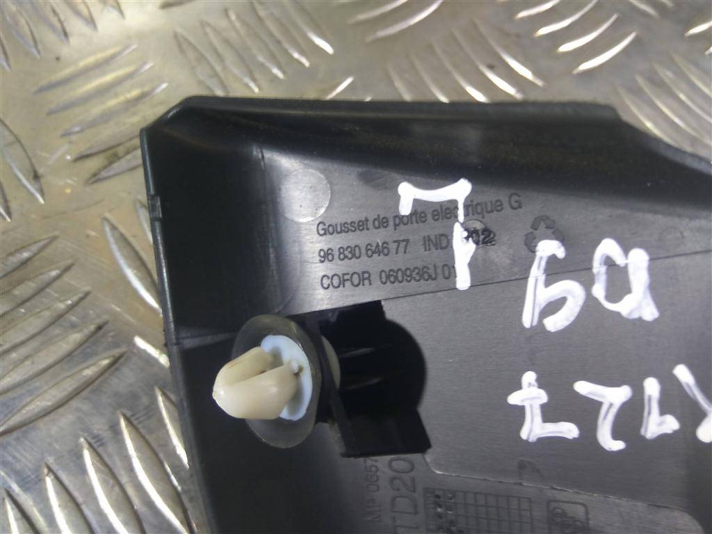 накладка двери Citroen Berlingo  9015EG, 750 рублей, Москва