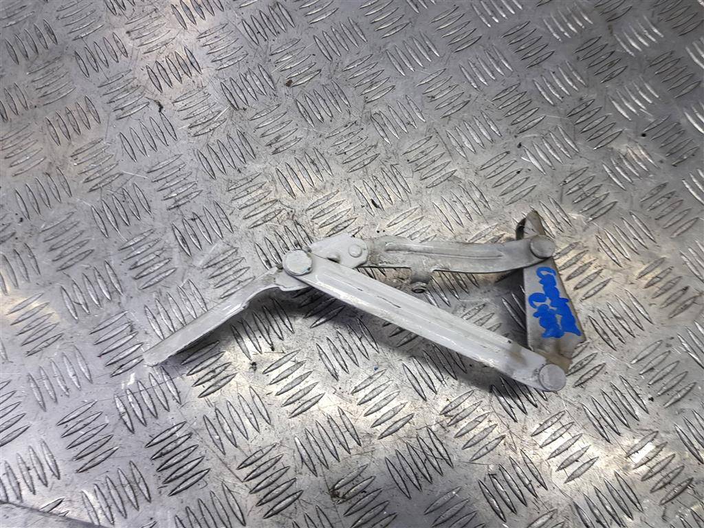 петля капота Volkswagen Crafter  A9067500021, 1550 рублей, Москва