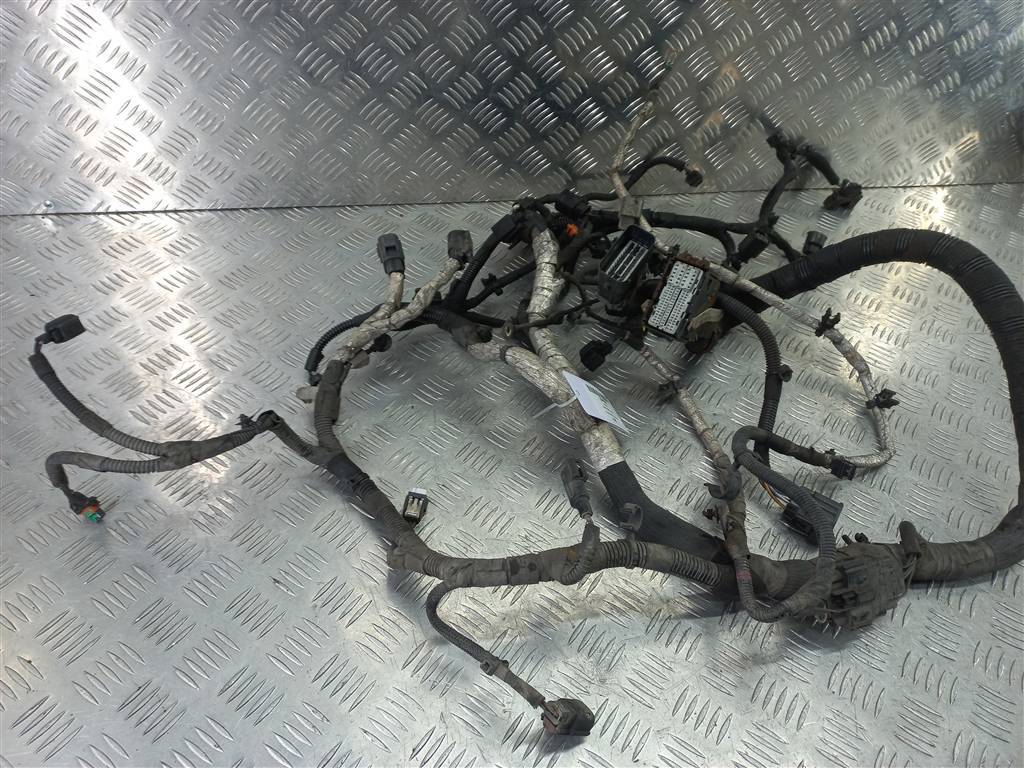 проводка (коса) FORD Transit  2017091, 11900 рублей, Москва