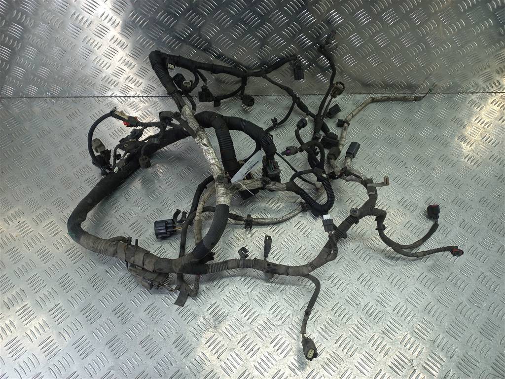 проводка (коса) FORD Transit  2017091, 11900 рублей, Москва