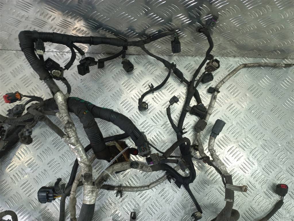 проводка (коса) FORD Transit  2017091, 11900 рублей, Москва