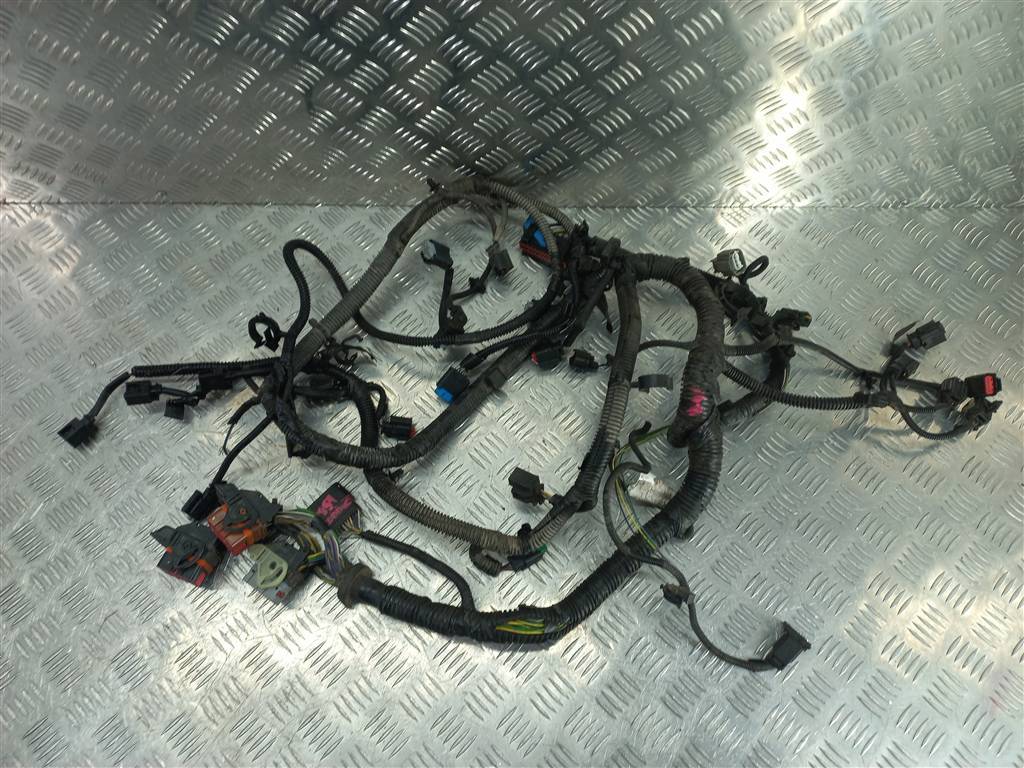 проводка (коса) FORD Tourneo Connect  1933069, 40650 рублей, Москва