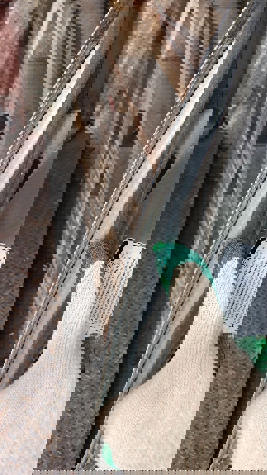 капот HONDA Civic 1.8 MT (140 л.с.)Civic  VIII (2005—2009) Хетчбэк 60100-SMG-E00ZZ, 3850 рублей, Москва