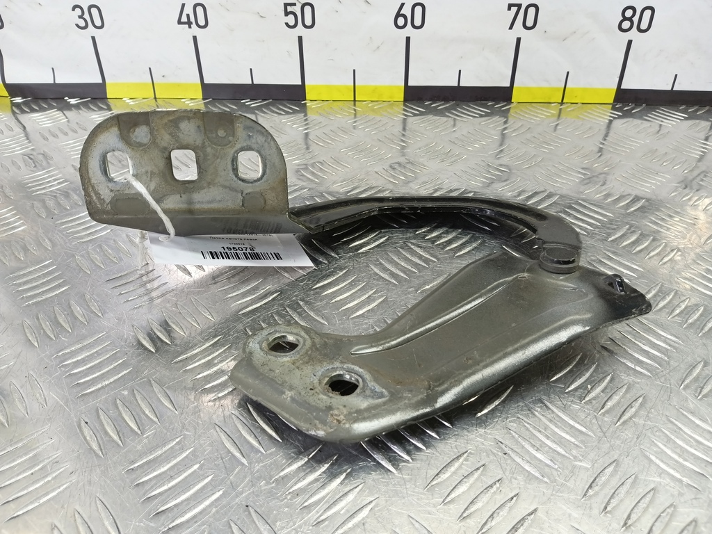 петля капота FORD Focus 2.0 AMT (160 л.с.)Focus  III рестайлинг (2014—2019) Седан 1750018, 2590 рублей, Москва