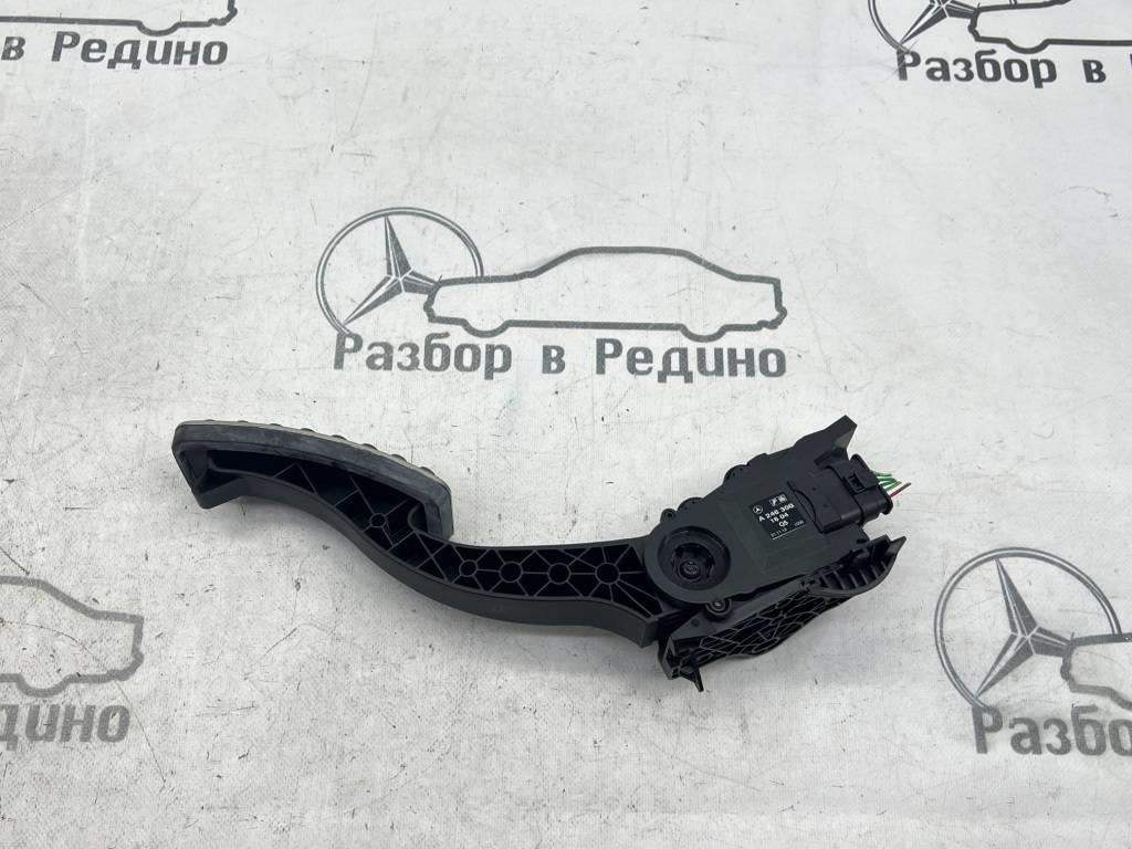 Вид 3