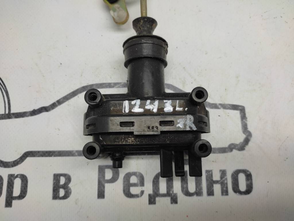 Вид 3