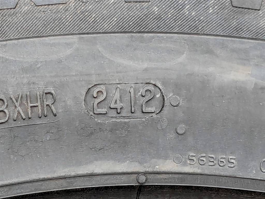 Вид 11