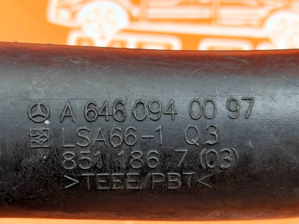 Вид 5
