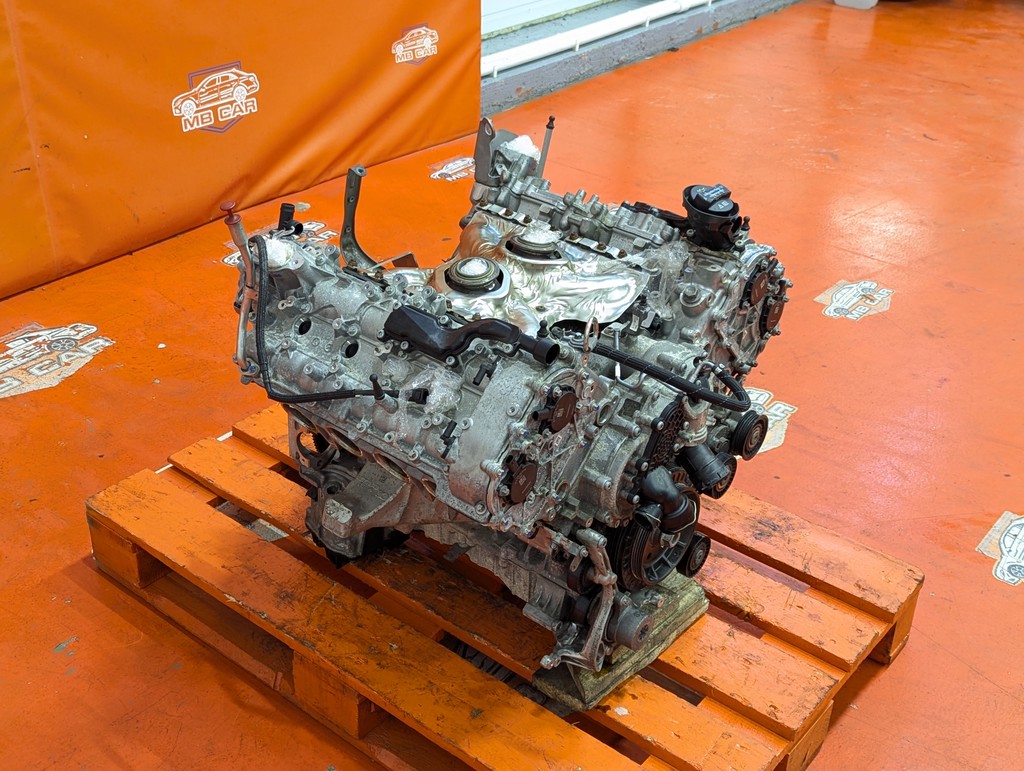 Вид 12