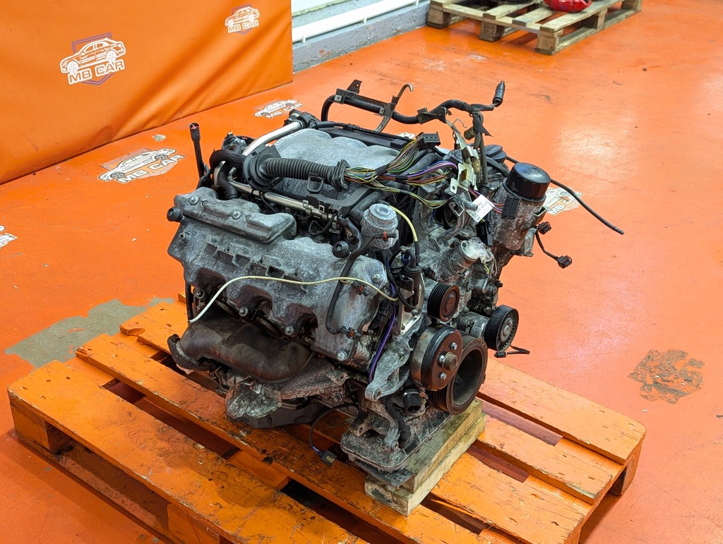 Вид 10