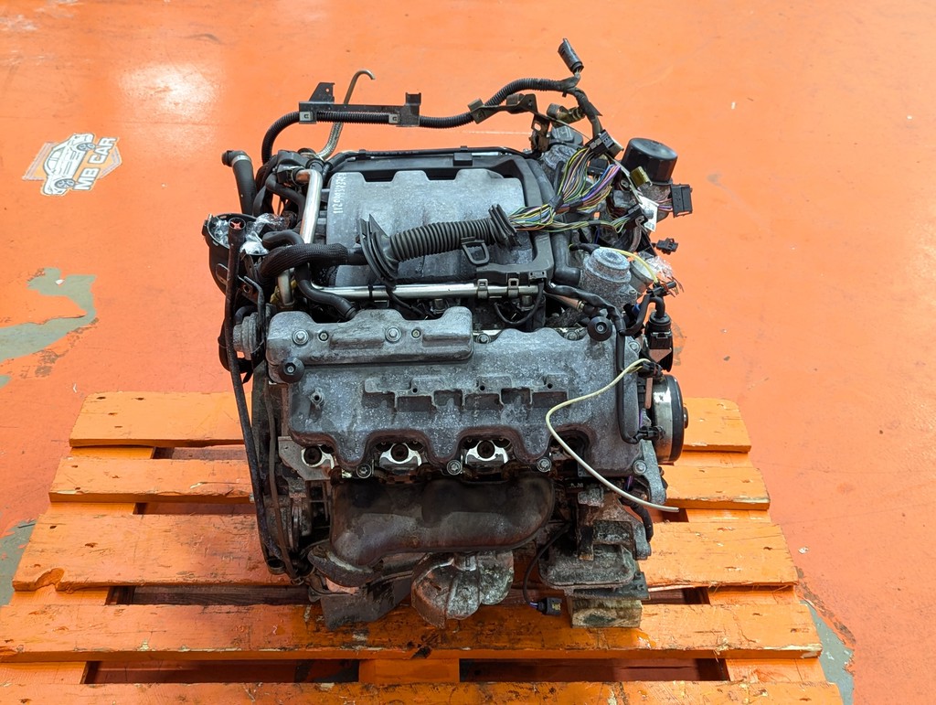 Вид 11