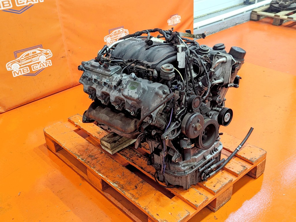 Вид 12