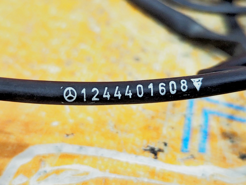 Вид 11