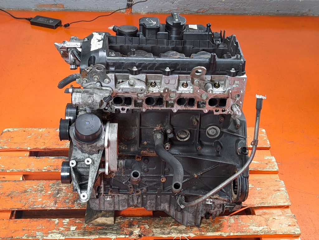 Вид 11