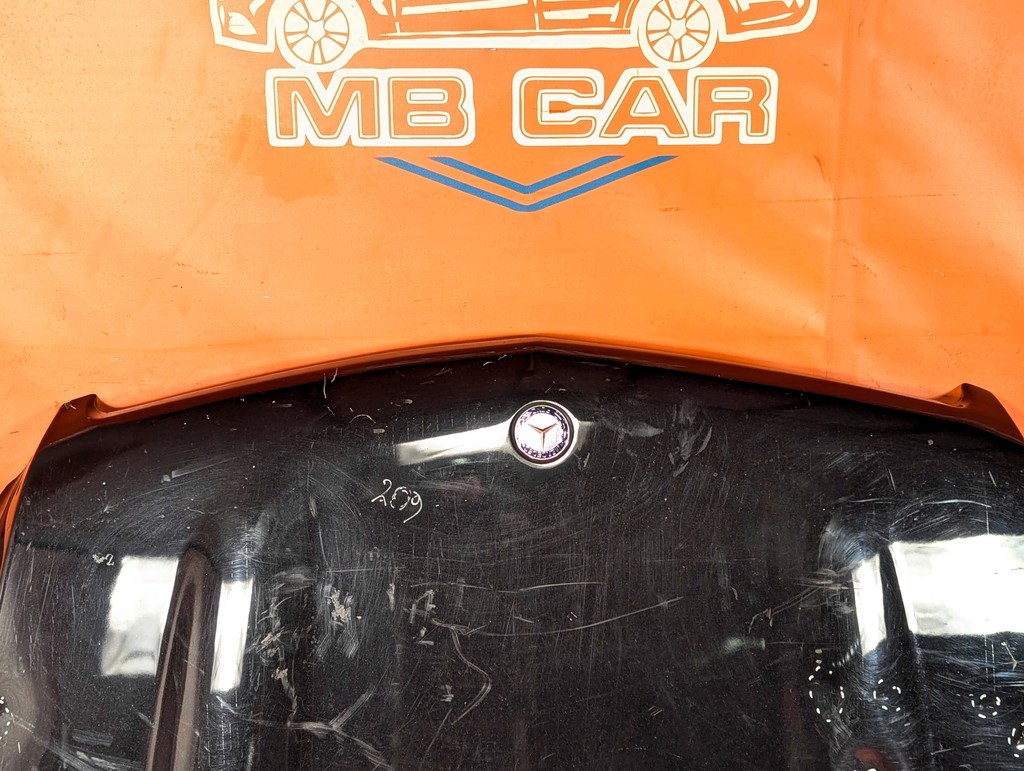 Вид 5