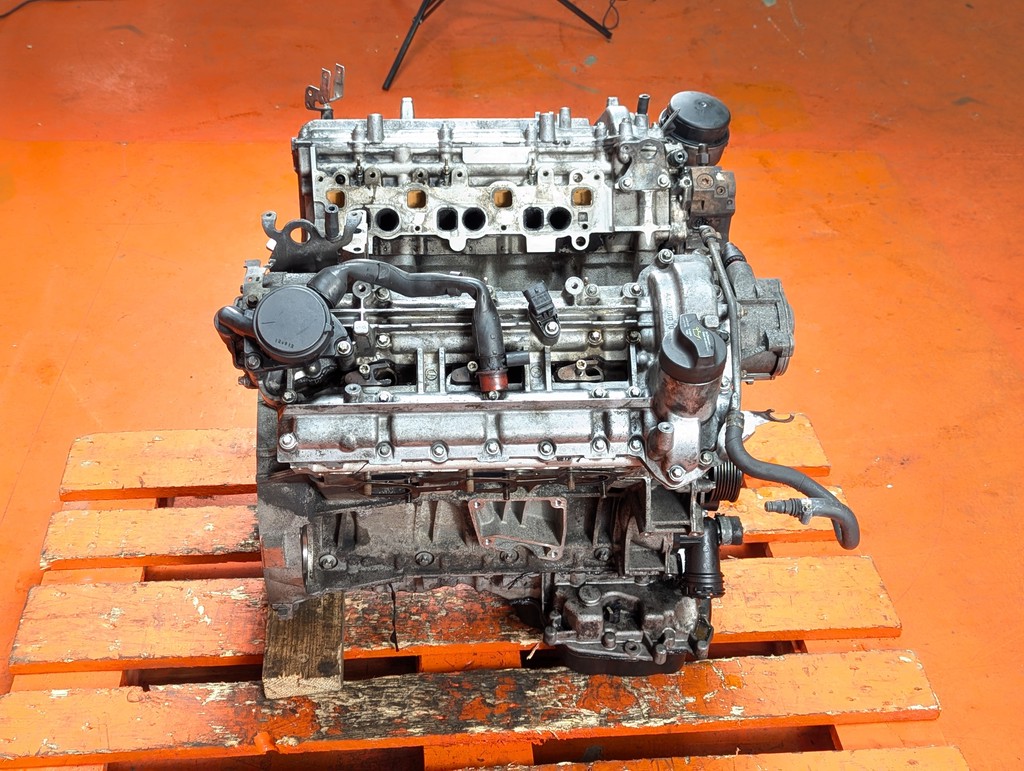Вид 11