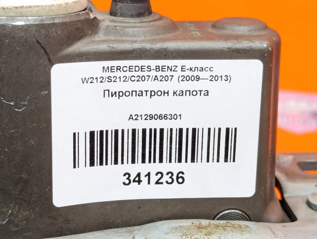 Вид 6