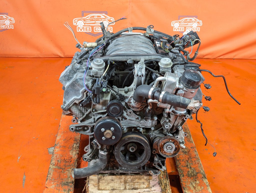 Вид 12