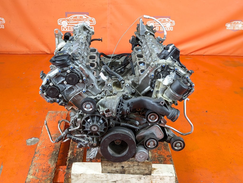 Вид 12