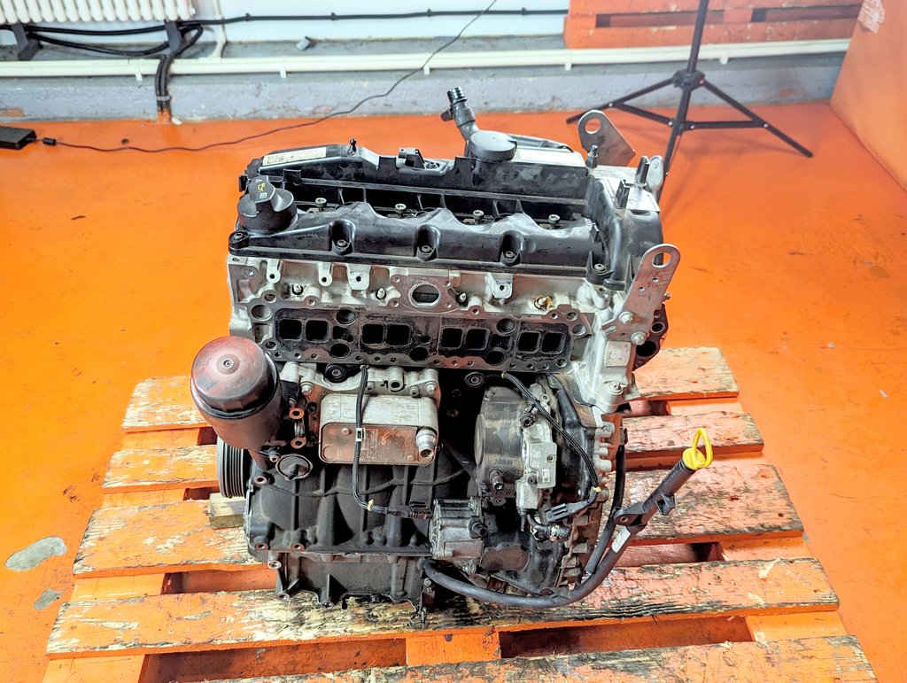 Вид 11