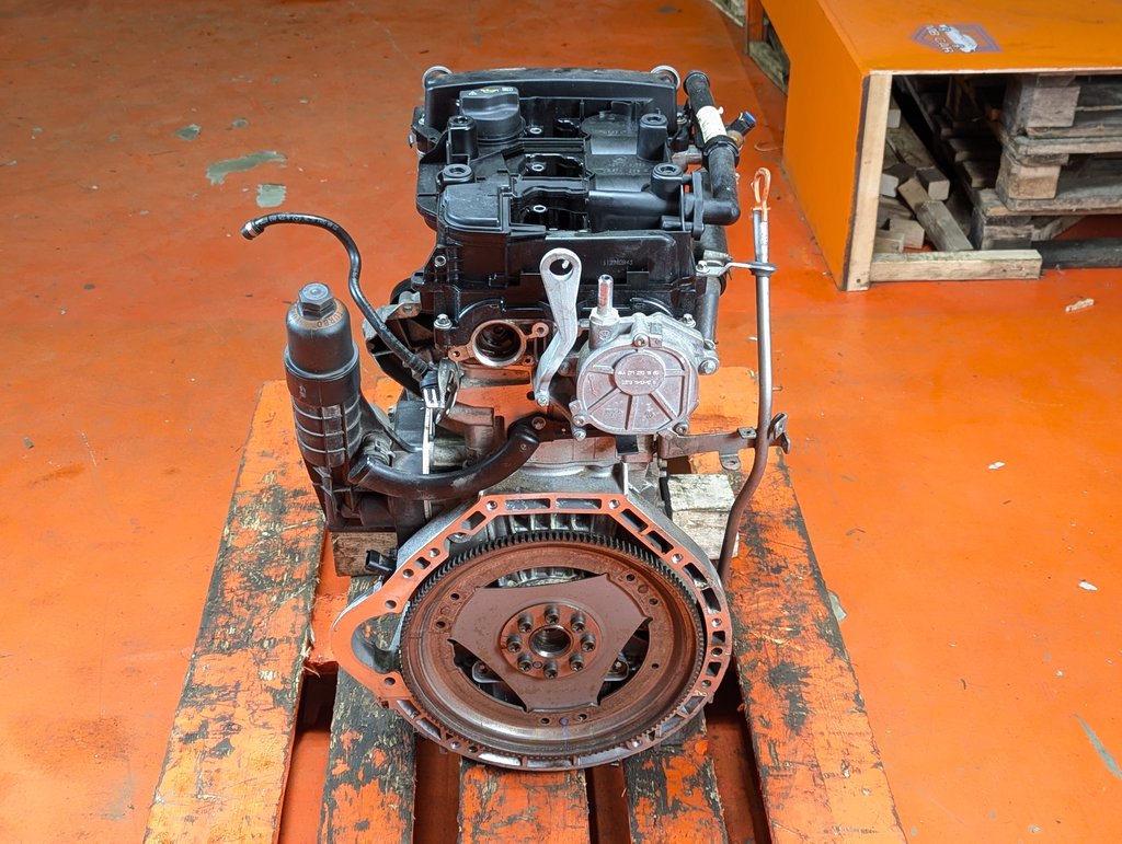 Вид 12