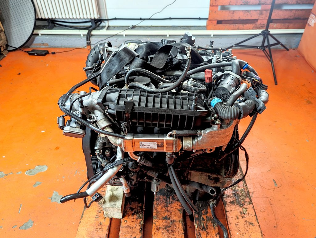 Вид 12