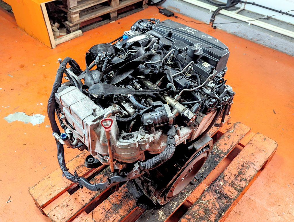 Вид 11