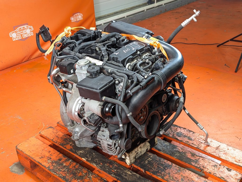 Вид 6