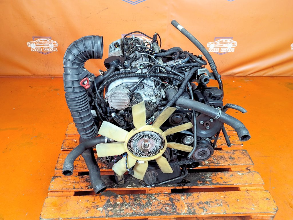Вид 3